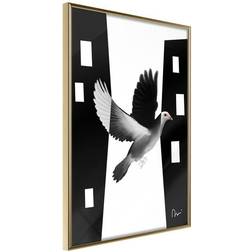 Arkiio Affisch White Dove [Poster] 20x30 Poster